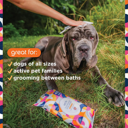 Pet Wipes for Dogs, Dog Cleaning Wipes - Plant-Based Dog Wipes with Moisturizing Aloe Leaf & Calendula - Made in the USA - Bergamot Apple Scent Dog Grooming Wipes - 40Ct (Pack of 1)
